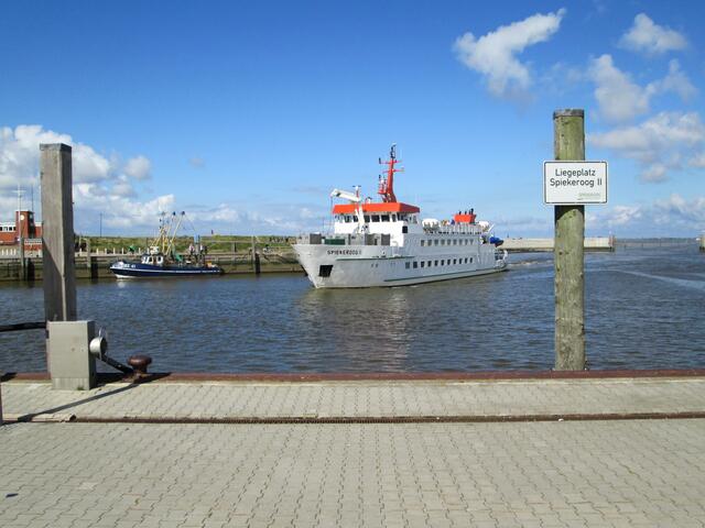 Ankunft im Hafen von Neuharlingersiel.