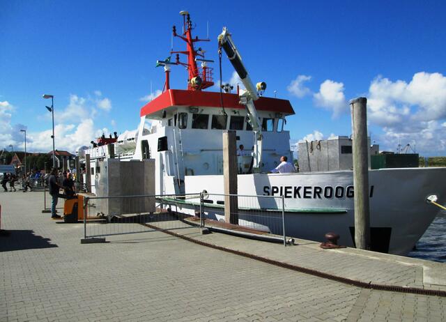 Kaum ist das Schiff fest gemacht, ist der erste Kofferbehälter von Bord gehievt und die ersten Passagiere strömen vom Schiff.