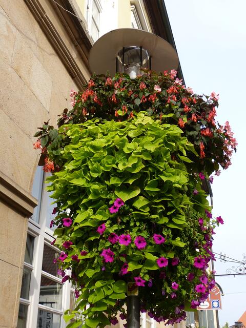 Geschmückte Straßenlampe !