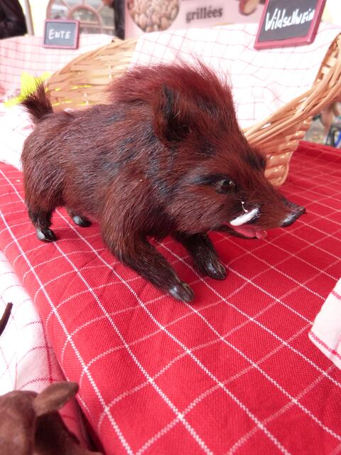 Es gab auch Wildschweinsalami !
