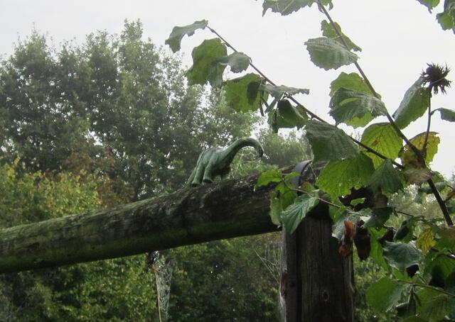 Der Saurier hat schon Spinnweben angesetzt.