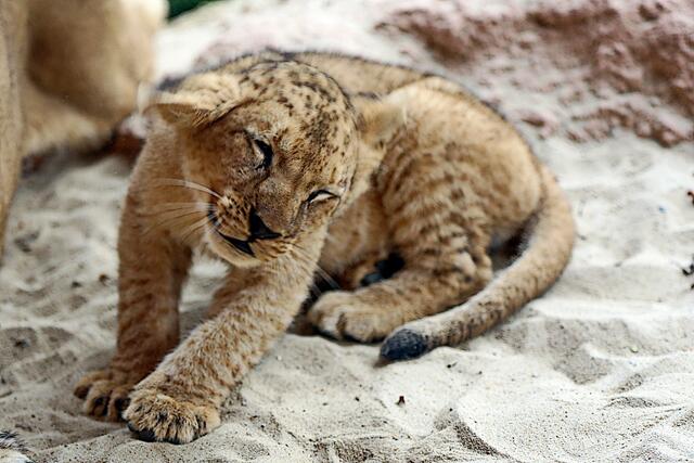 ... nee, so rum ist doch wieder nicht richtig ...