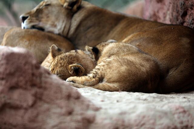... aaaah, so ist's richtig GEMÜTLICH!