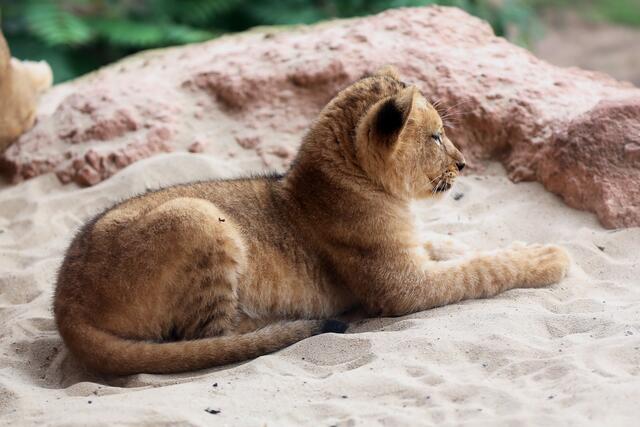 ... allein? ... andererseits ...