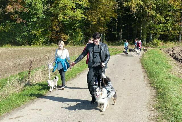 schon nach kurzer Zeit strahlt die Sonne .....