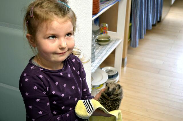 Täglich wird gefüttert und Lilly hilft dabei