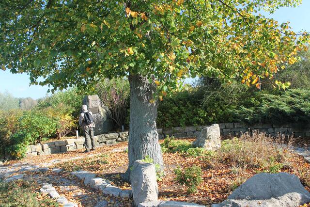 Der eigentliche Mittelpunkt soll der Baum sein.