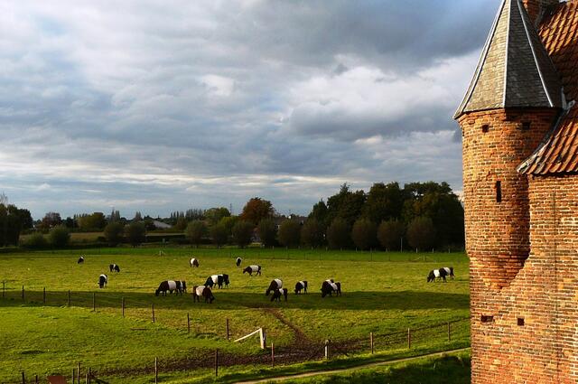 An der Doornenburg in den NL