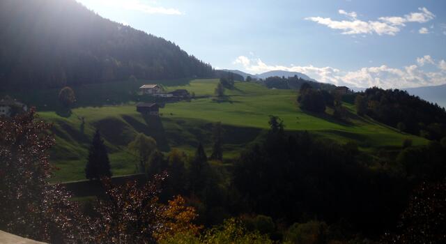 Auch bei der Schlossführung immer wieder ein Blick über die saftigen Wiesen