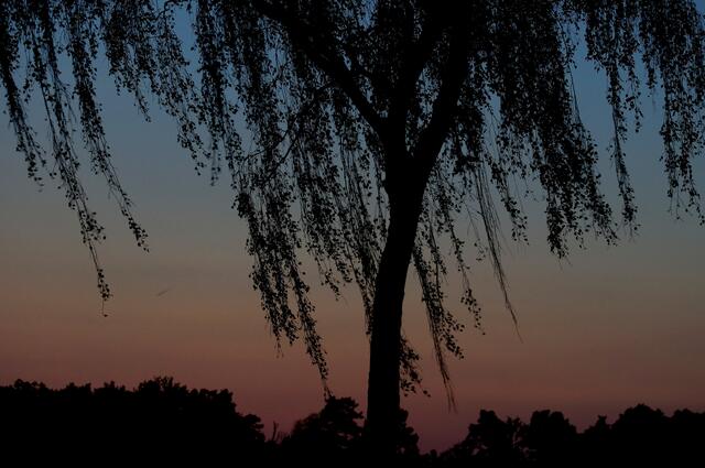 Wunderschön ist es, wenn ein Tag mit dieser Farbpalette, die sich als letzter Gruß des vergangenen Tages lange am Horizont hält, langsam in das Dunkel der Nacht übergeht.