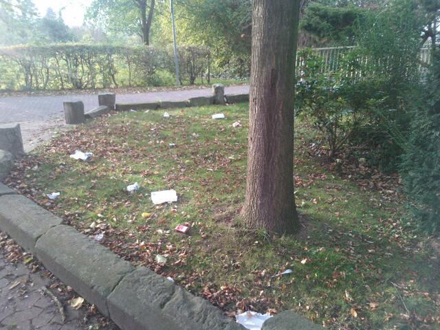 Gronau:Müll 23.10.14 Maschstr./Denkmal.