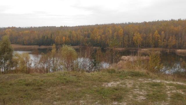 Blick von Zechau.