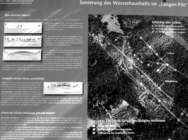 Die Gräben sind verschlossen worden, so dass sie bei Regen überlaufen können. Dadurch kann das Moor erhalten bleiben.