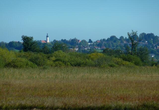 Blick auf Murnau