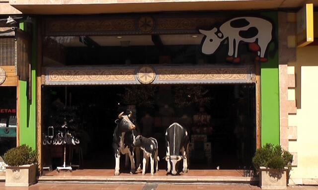 BLICKFANG IN CANGAS DE ONIS