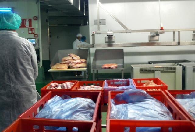 Die Schweineschlegel werden gewogen und nach Gewicht sortiert