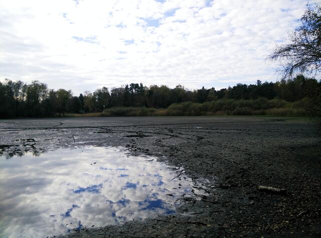Der Würmsee am 22. Oktober 2014.