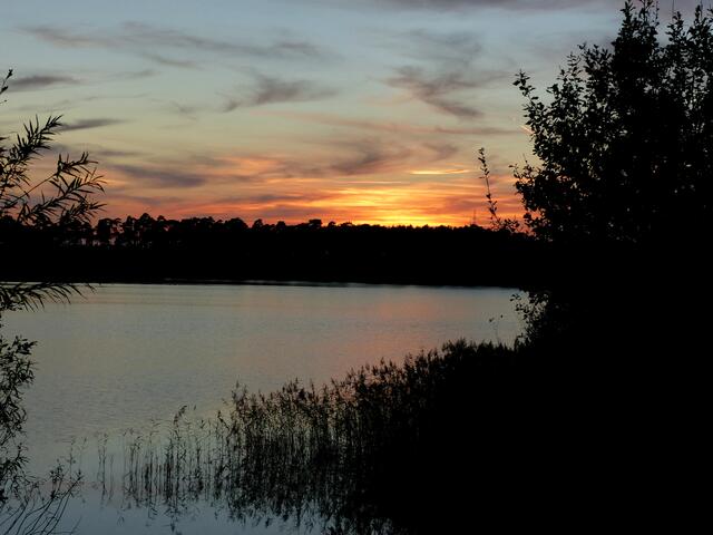 Ein schöner Sonnenuntergang am See. Nicht nur ein wunderbares Heidelibellenhabitat, sondern in seiner Umgebung auch ein Paradies für Pilzsammler...