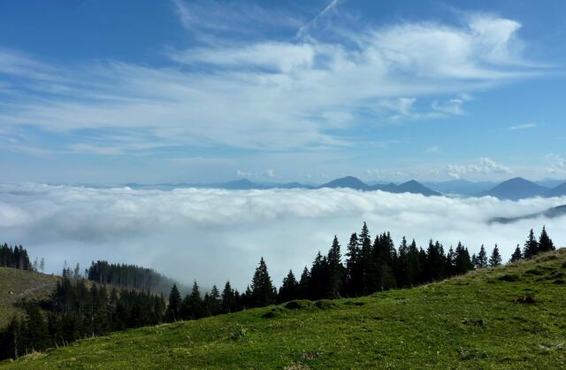 Über den Wolken: Nur noch einzelne Bergkuppen schauen hervor.