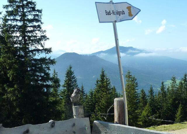Immer dem Schnabel nach geht es runter nach Bach Kohlgrub.