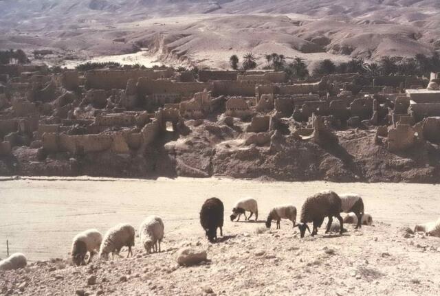 Nachdem die Israeliten den Jordan überschritten hatten, wurde zunächst die Stadt Jericho zerstört. Sämtliche Bewohner und alles Vieh wurden getötet, benötigte man doch Raum für das eigene Volk. So die Bibel. Das Alte Testament ist voller Grausamkeiten, wie man sie sich schlimmer kaum vorstellen kann. Etwa zu dieser Zeit war es mit der Vielgötterei vorbei. Man betete nur noch einen Gott an.