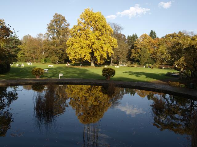 Stadtpark im Spiegel.