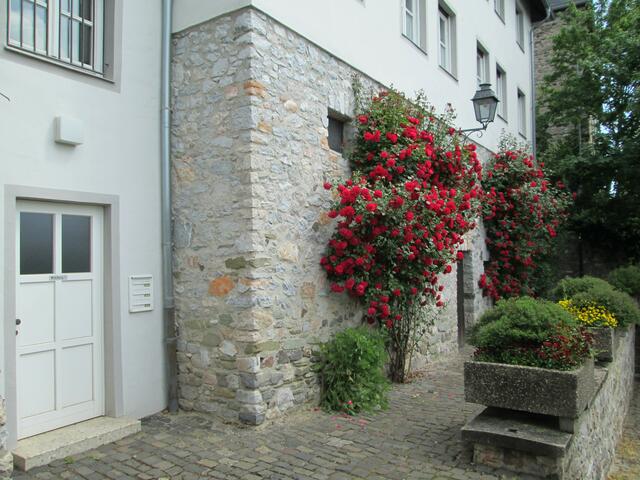 „Mühlberg 1“ bei dem Limburger Dom.