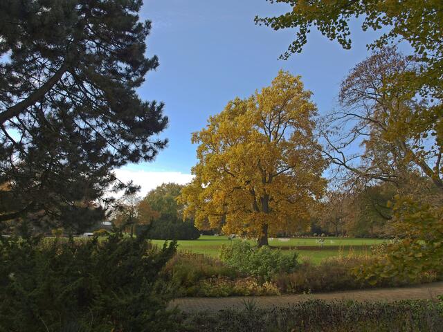 Der Stadtpark ist immer wieder traumhaft!
