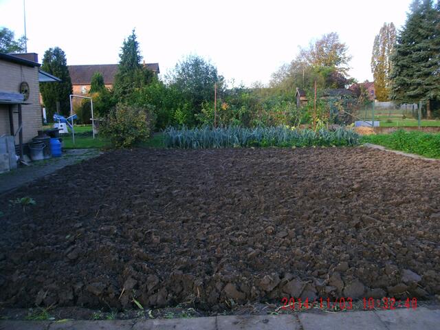 Frisch gegrabenes Gartenland. Regenwürmer und Bodenbakterien haben bis zum kommenden Frühjahr ausreichend Zeit, den untergegrabenen Mist in beste Pflanzennahrung umzuwandeln.