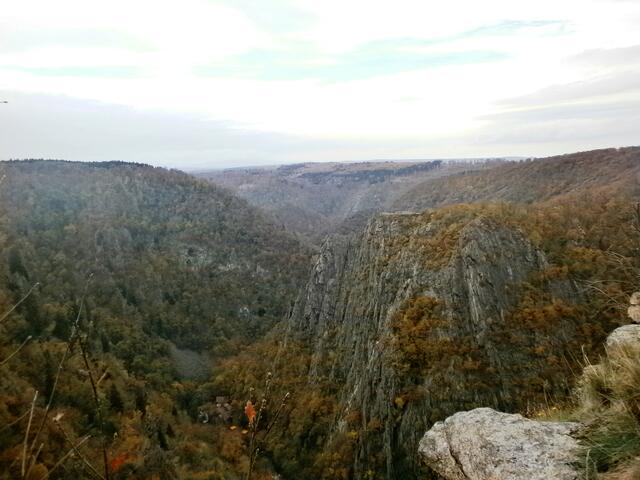 Der Ausblick von hier oben in den 280m tiefen Canyon des  Bodetales lässt uns erschauern.