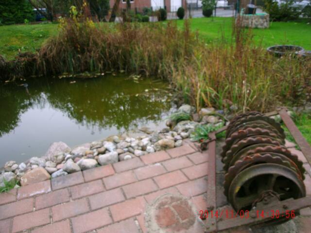 Herbstlicher Gartenteich
