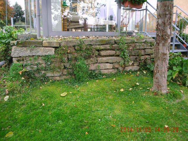 Herbstliche Trockenmauer