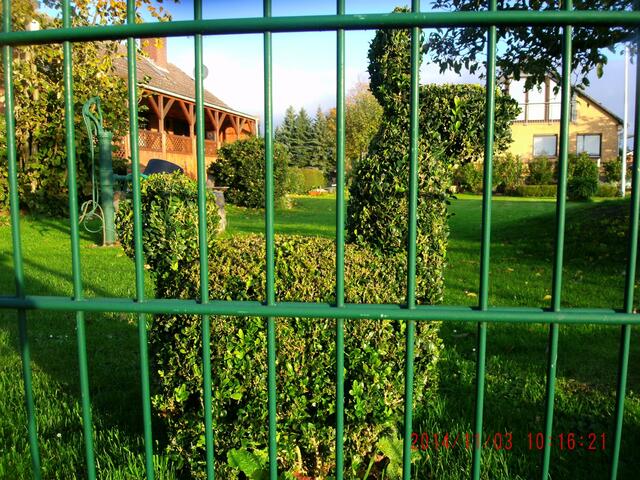 Ein Tier hinter Gittern
