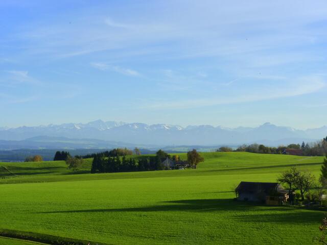 Blick vom Römerturm auf das Alpenpanorama
