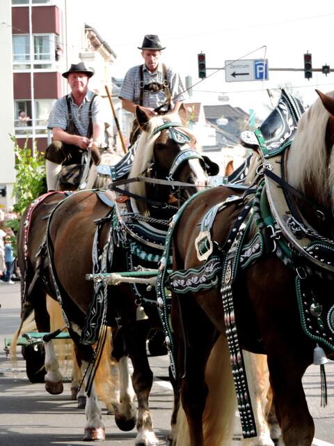 Langholzwagen.