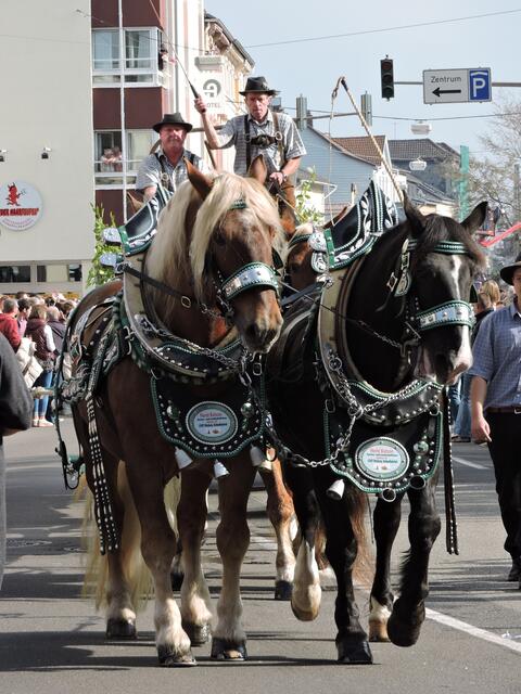Vierspänner vor einem Holzwagen.