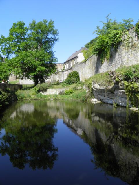 Wassergraben mit Schildkröten