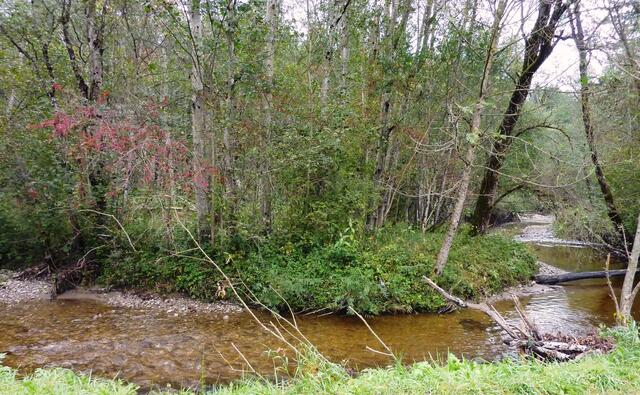 Der Lindenbach fließt in Mäandern.