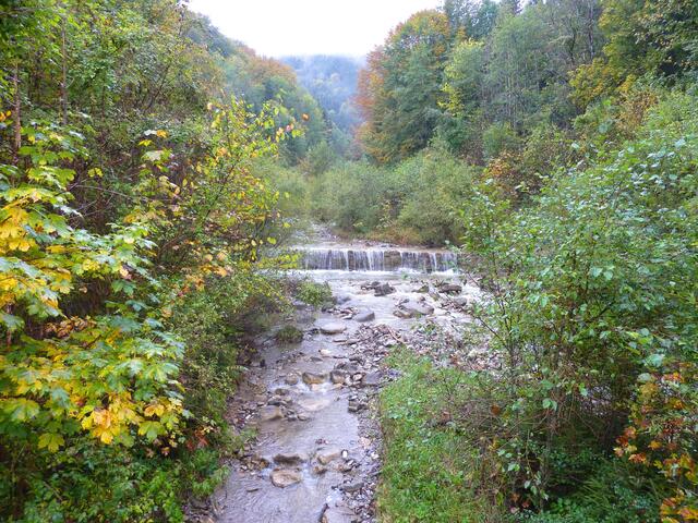 Herbststimmung am Lindenbach