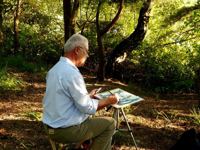 Ein anderes "Zukunftsbild" vom Würmsee, als das welches sich momentan zeigt, hatte ich mir "ausgemalt", als ich dort am 24. Juli 2012 ein Gruppe Künstler traf, die den idyllischen ruhigen Ort für Naturstudien im Schatten der Bäume (Nordseite des Würmsees) nutzte. Die gewonnenen Eindrücke wurden mit Pinsel, Stift, Kreiden und Tusche festgehalten.