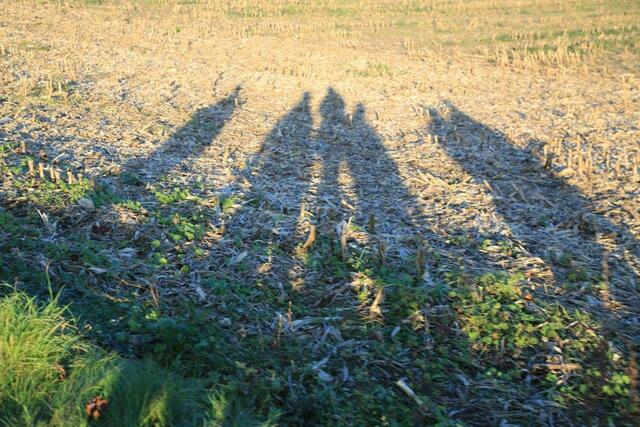 ... lange schatten ...