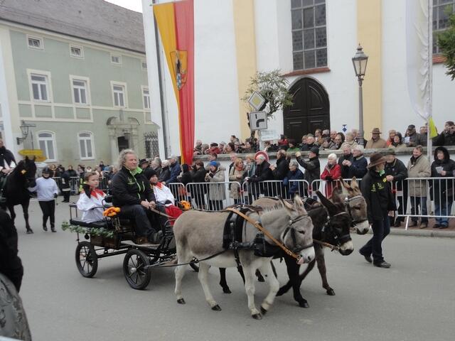 kleines Eselsgespann