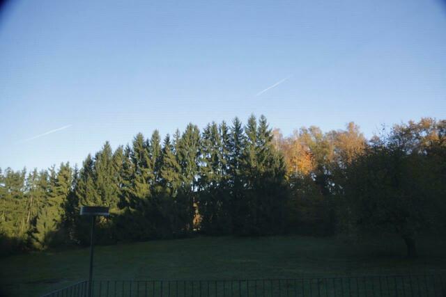 ... morgenstund ...