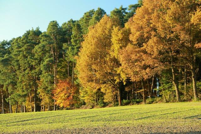 ... farbenspiel ...