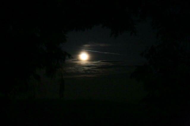... vollmond ...