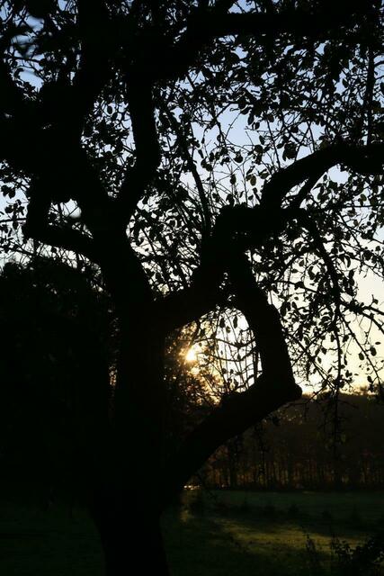 ... abendsonne ...