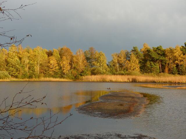 Der See im Oktober 2013.