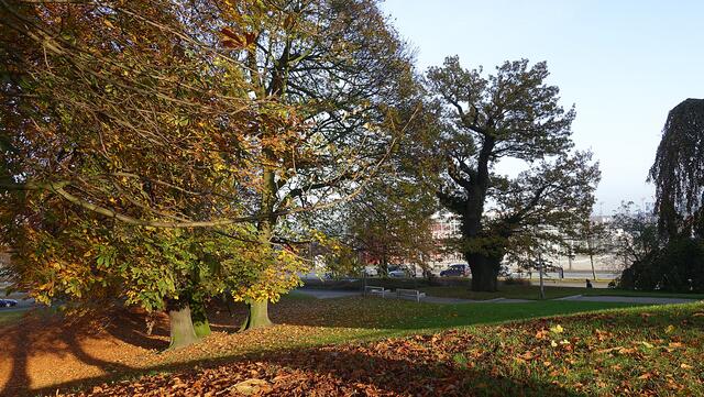 Prinzengarten am Schloss. Foto: Helmut Kuzina