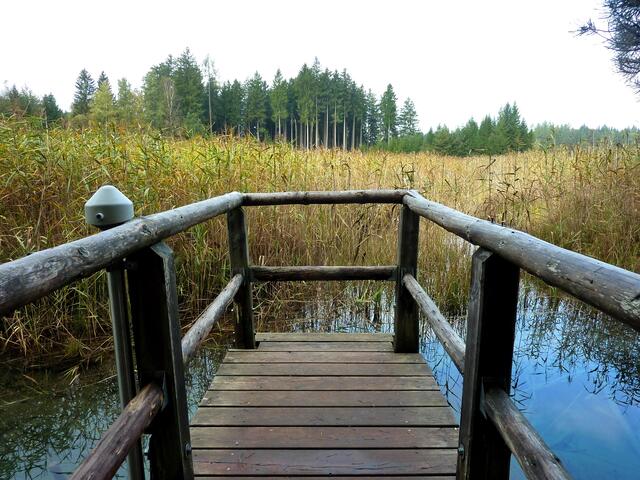 An der "Blauen Gumpe"