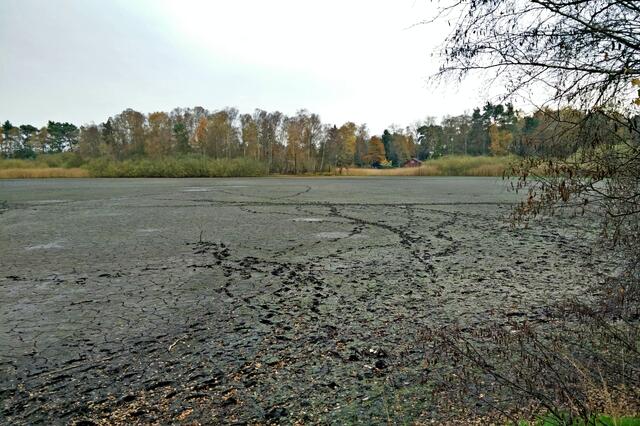 "Spuren im See" - Würmsee 10. November 2014. Blickrichtung Süd-Ost.